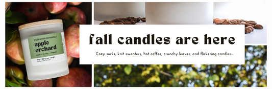 Fall Soy Candles Are Here From Wildewood Botanicals - blog cover
