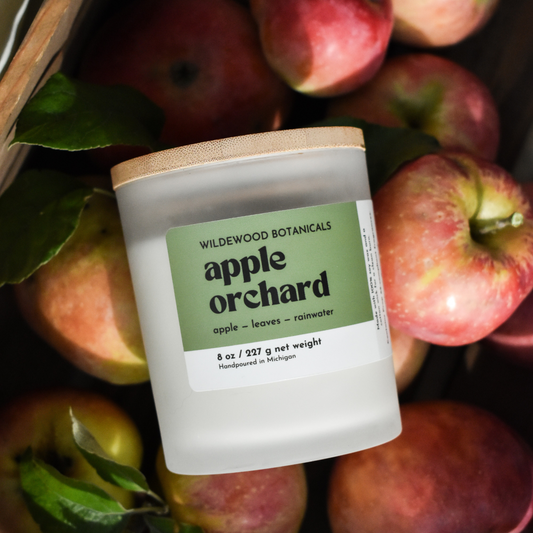 APPLE ORCHARD regular size SITTING IN A CRATE OF apples